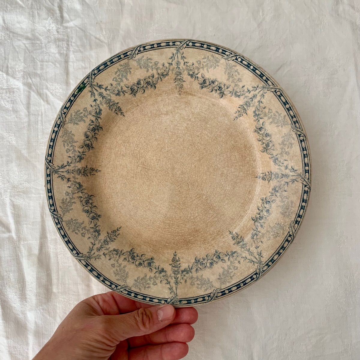 Plato semi altura Labrador - Terre de Fer - Basset Antiques-1 Plato semi altura Labrador - Terre de Fer - Basset Antiques