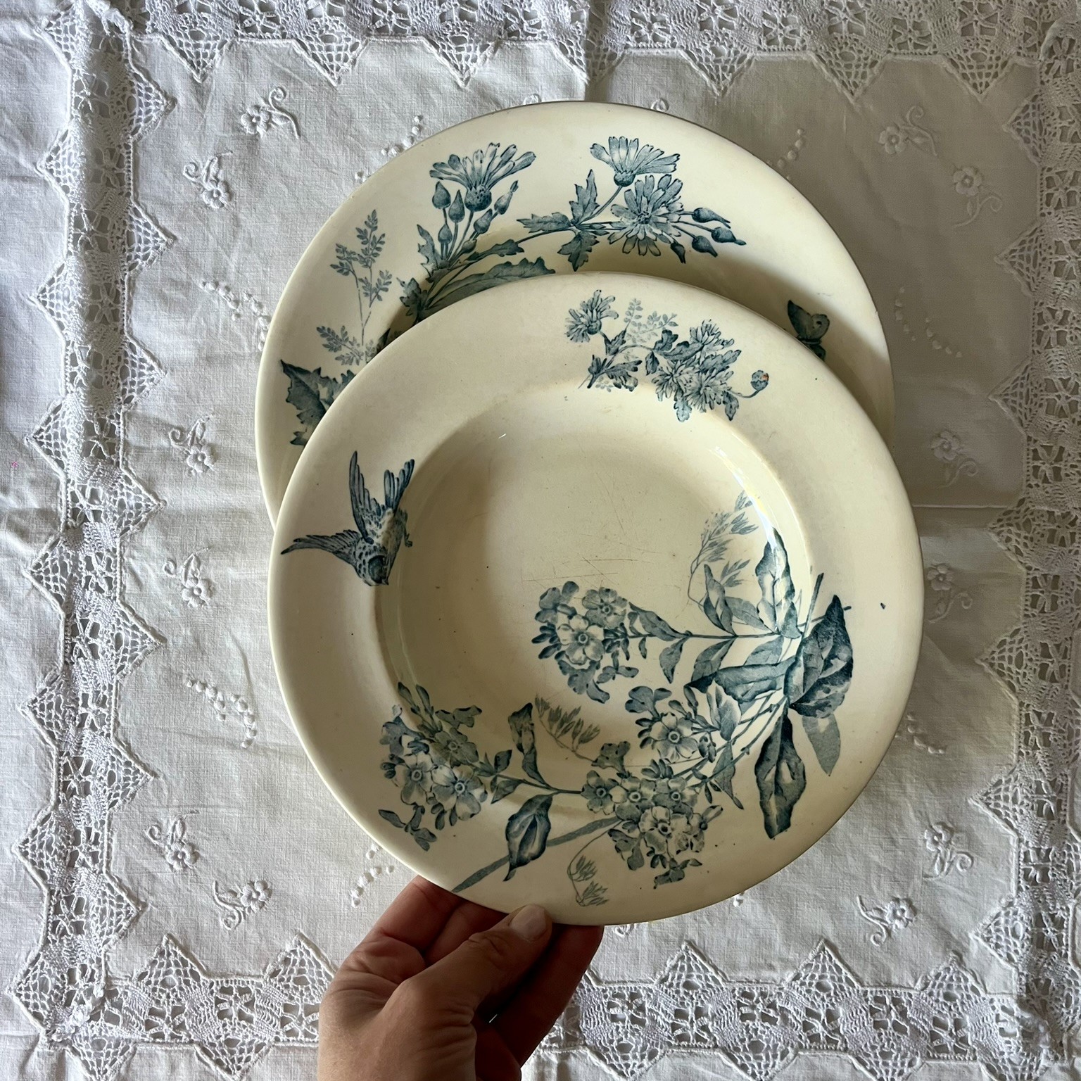 R216 Plato hondo Botanicus (1) R216 Plato hondo Botanicus (1)