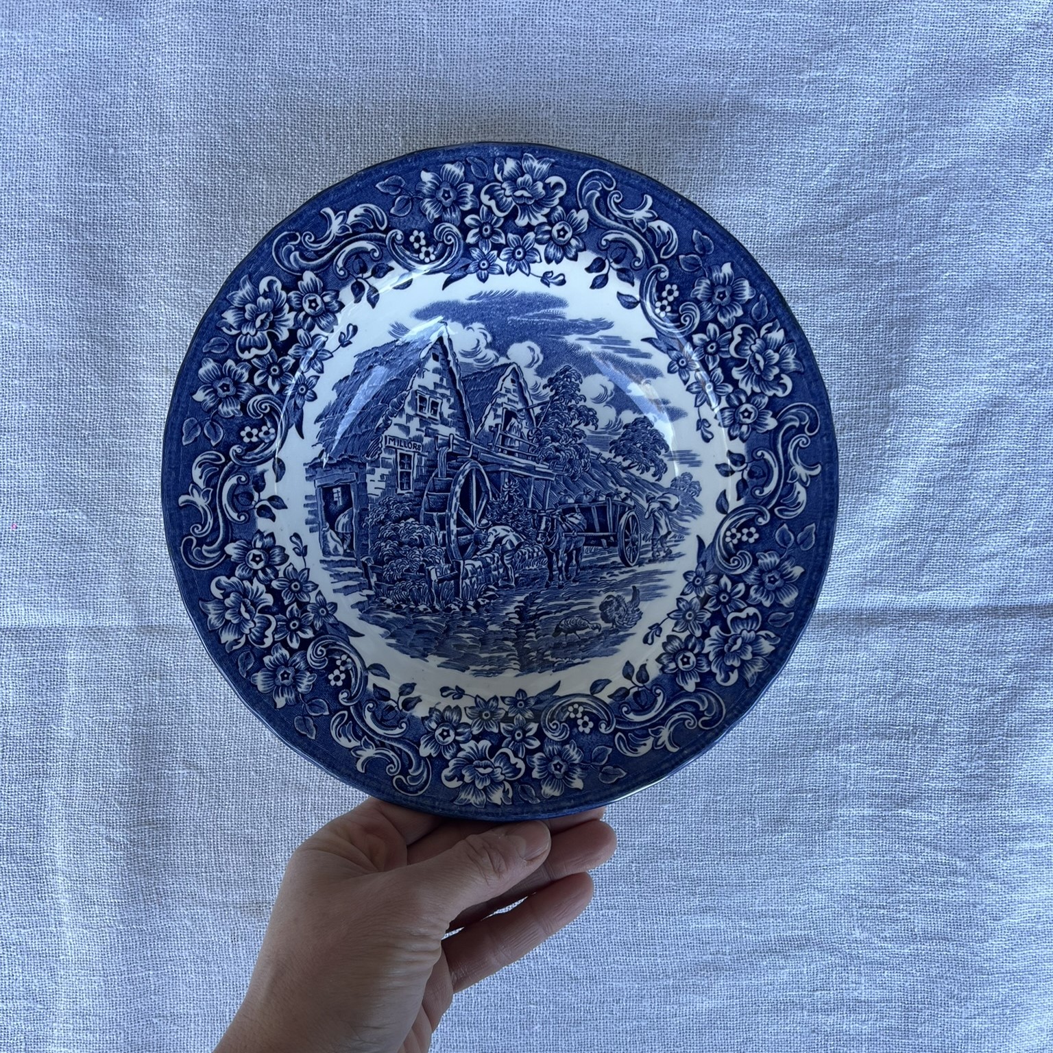 R242 Plato hondo Mellor (2) R242 Plato hondo Mellor (2)