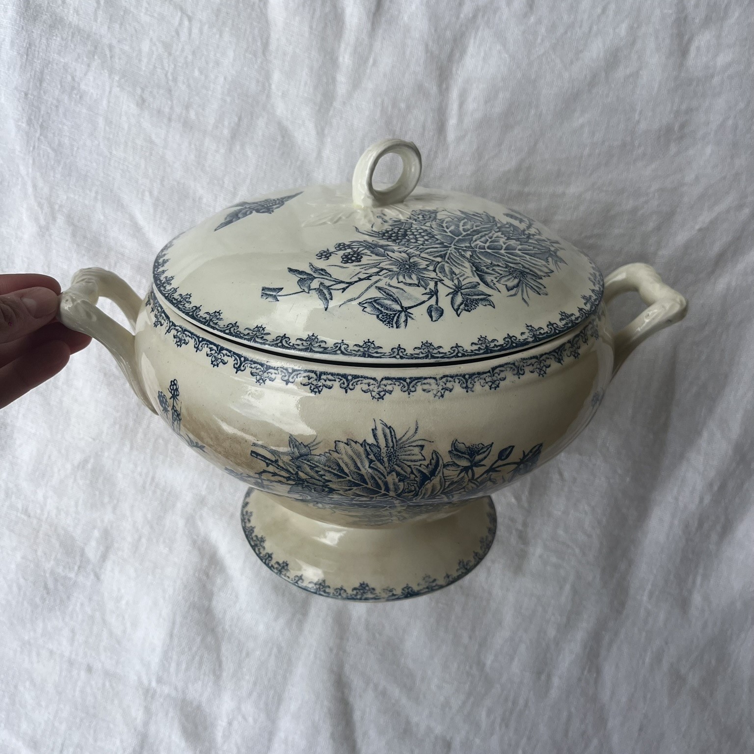 R264 Sopera Salvador (2) R264 Sopera Salvador (2)