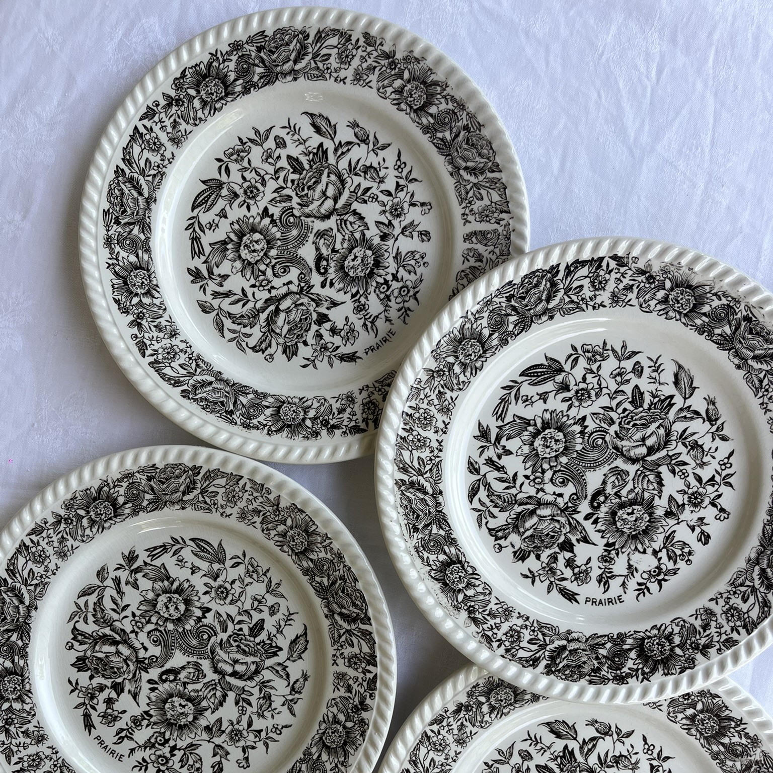 R282 Plato llano Prairie (1)