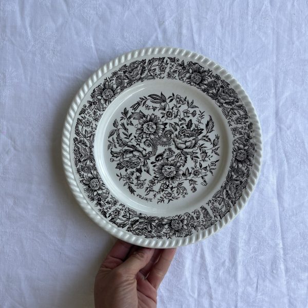 R282 Plato llano Prairie (2)