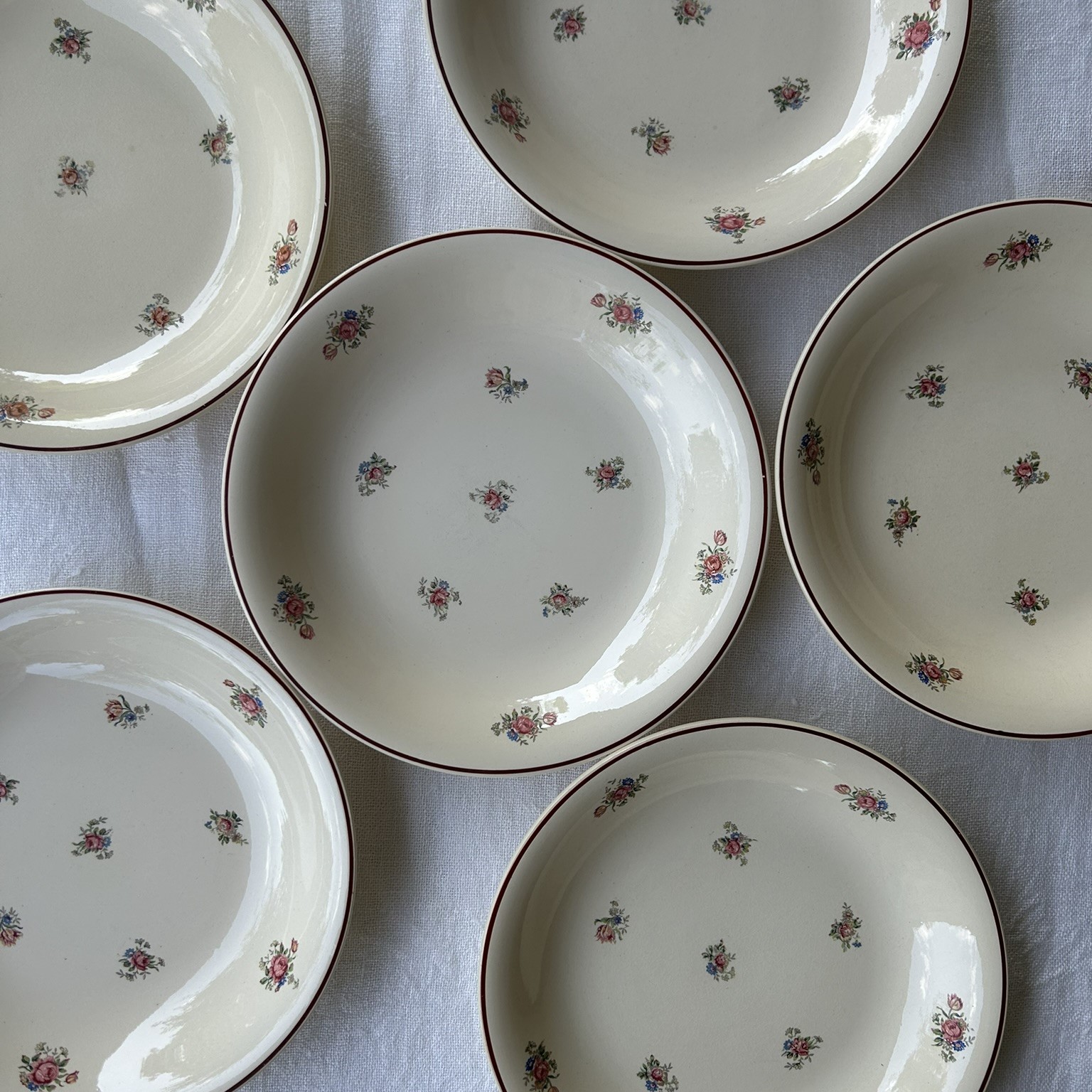 R287 Plato hondo Rosemary