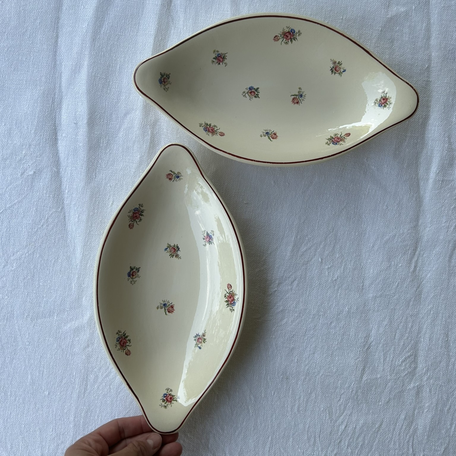 R288 Rabanera Rosiers (2)