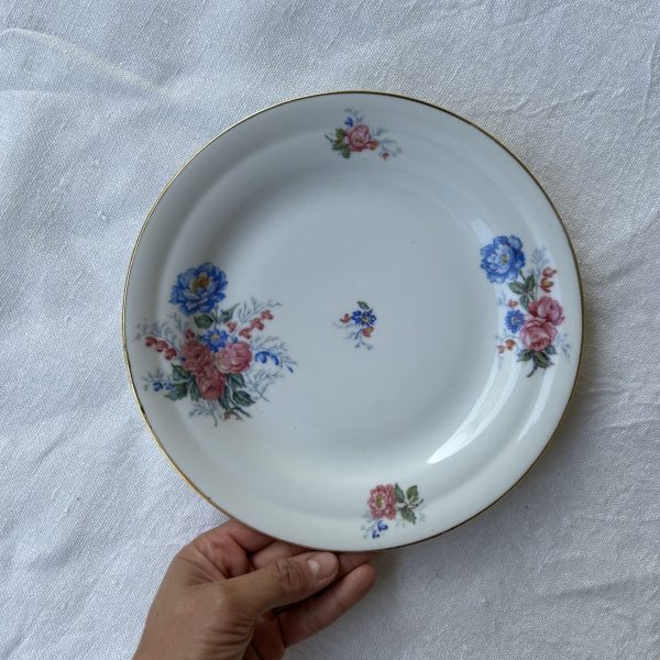 R298 Plato llano Bordeaux (2)