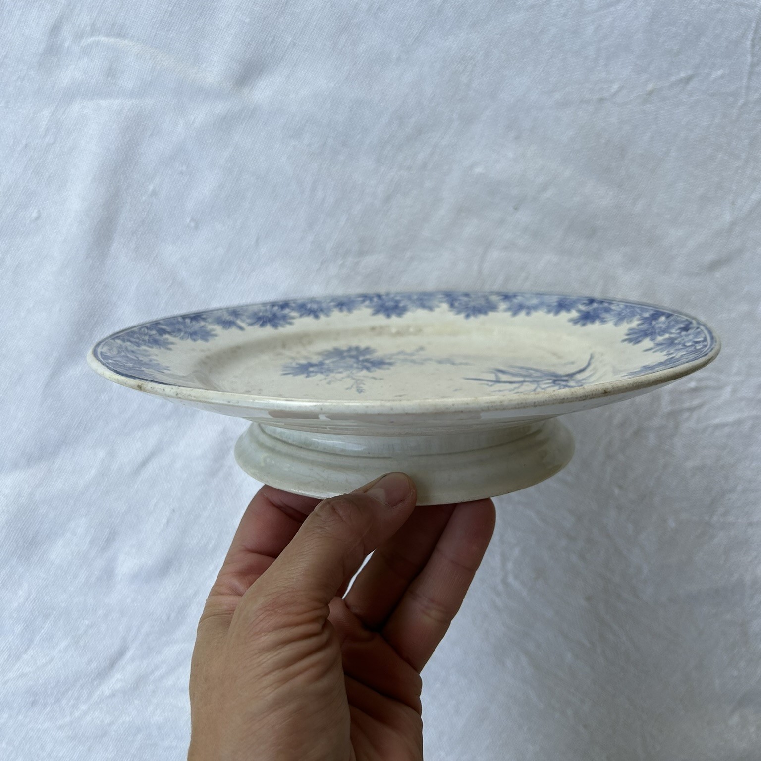 R307 Plato semi altura Marguerites (3) R307 Plato semi altura Marguerites (3)