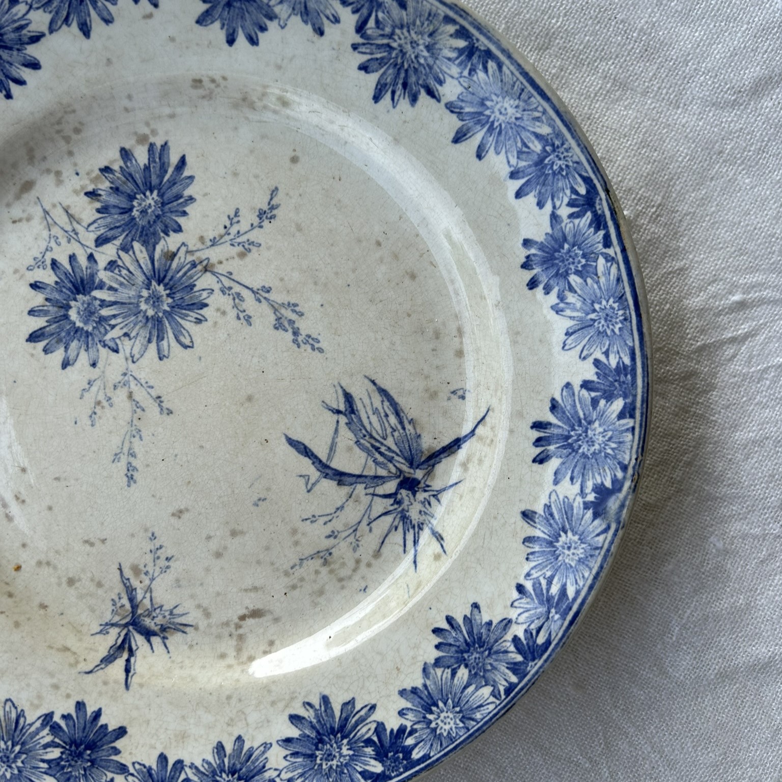 R307 Plato semi altura Marguerites (4) R307 Plato semi altura Marguerites (4)