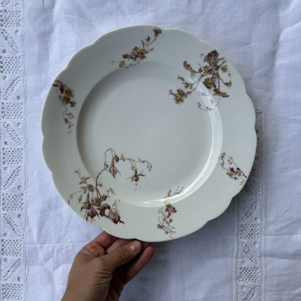 R321 Fuente mini Nature morte