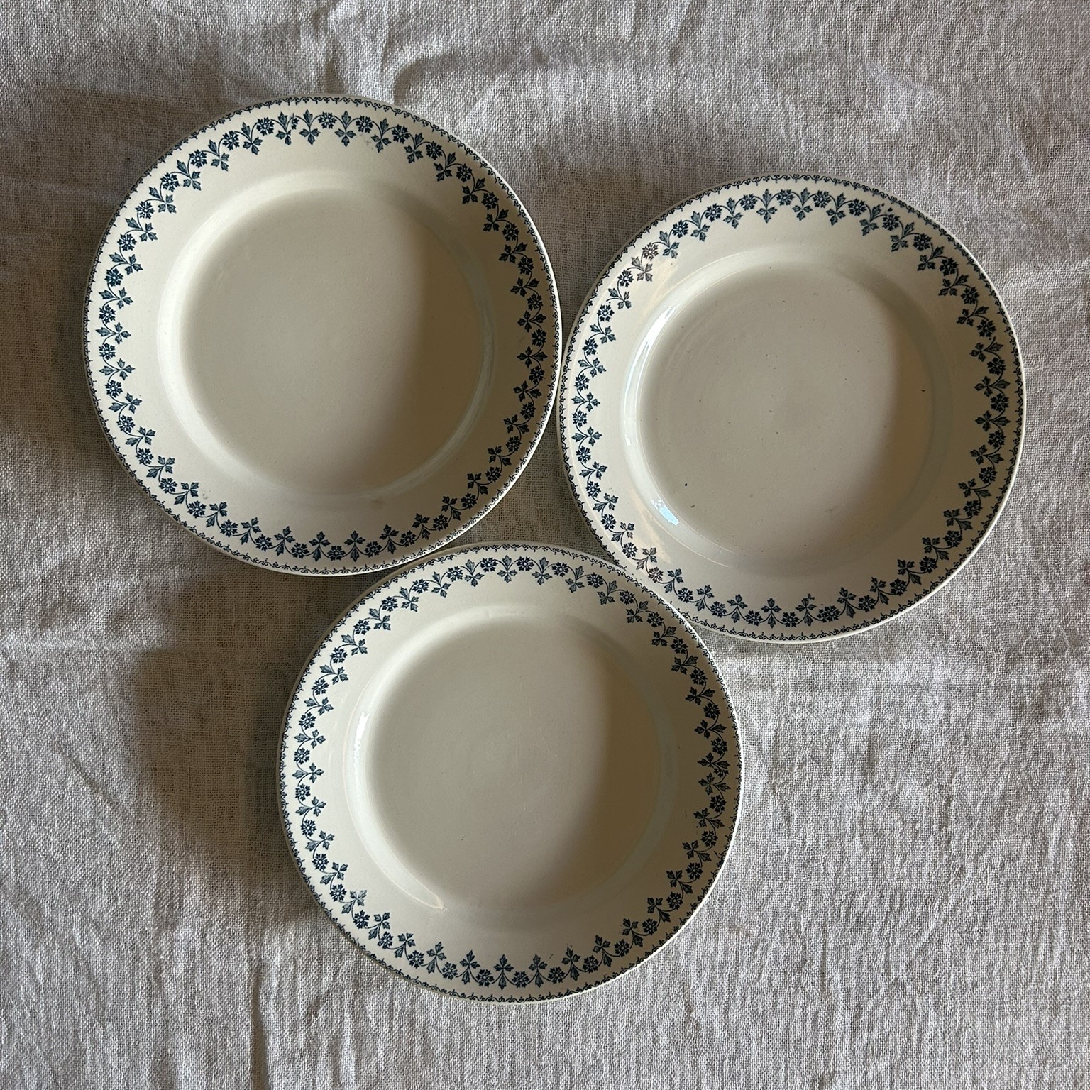 R370 Plato llano Barbeaux Terre de Fer (1)
