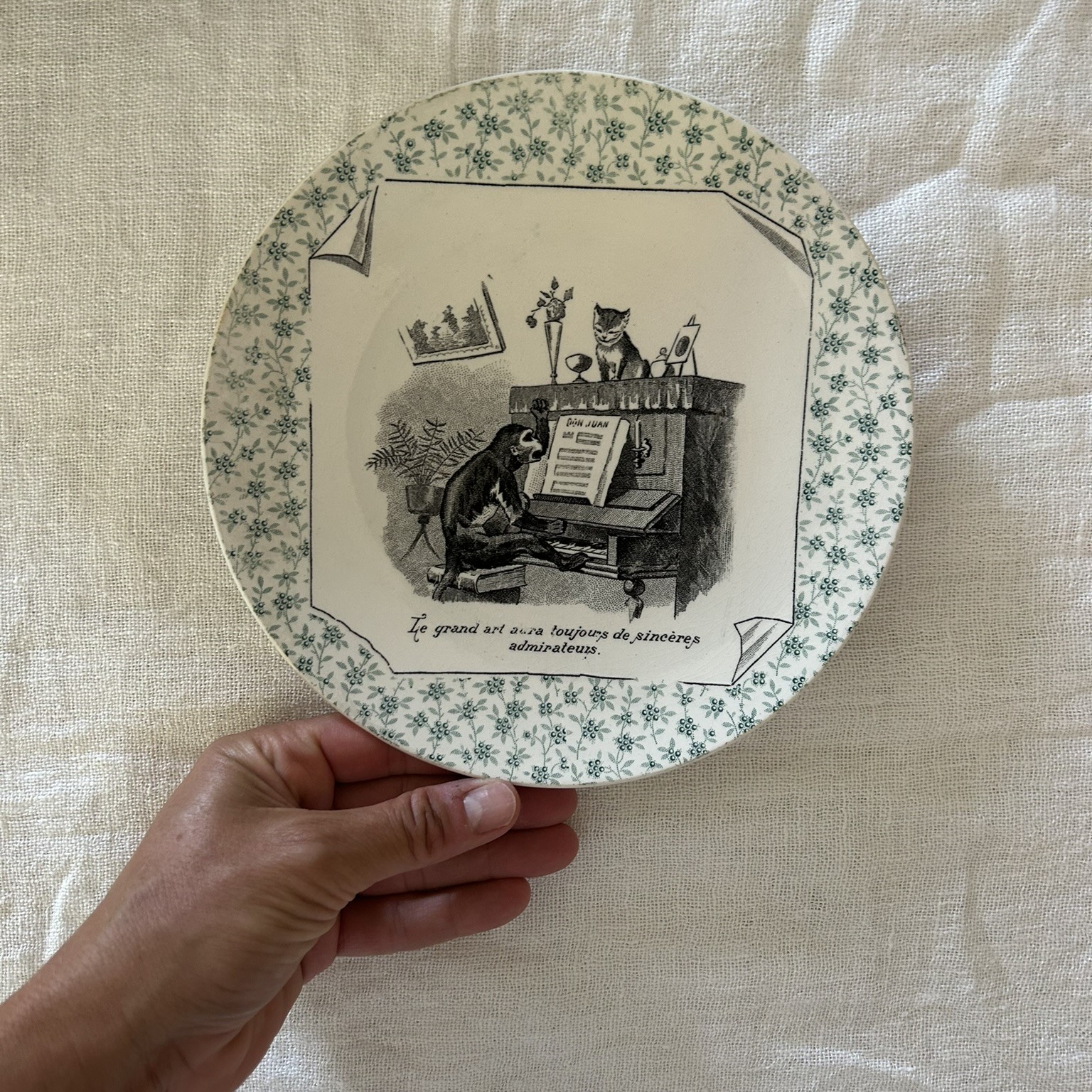 R377 Plato postre parlante (1)